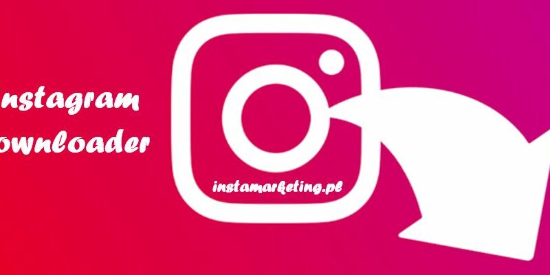 Instagram downloader - co to i na czym polega?